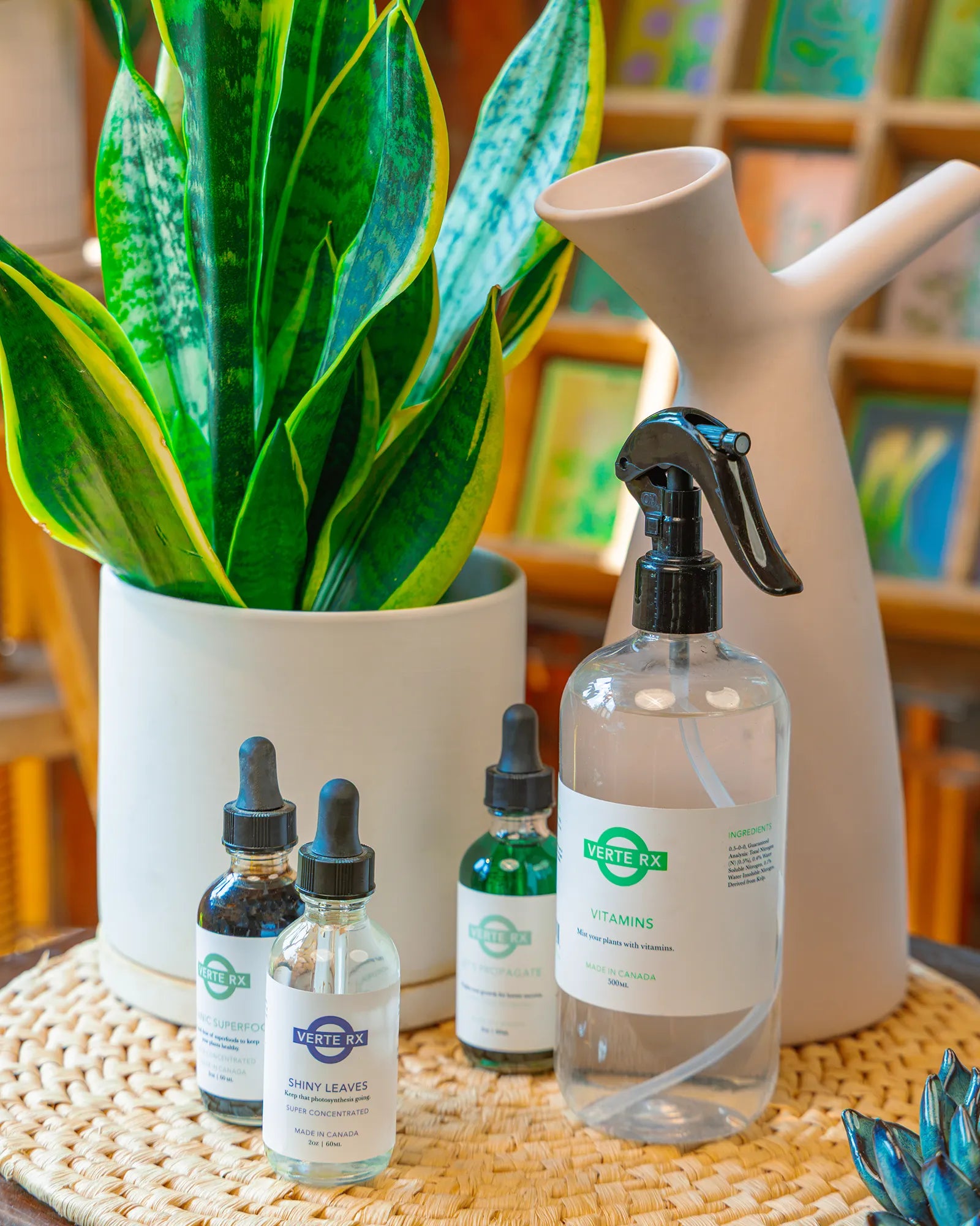 Chive Verte Rx liquid plant vitamin bottles and Jessie ceramic watering jug next to a potted houseplant, styled in a bright room.