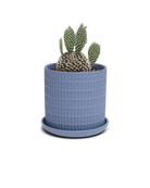 Chive Virago A small blue grey porcelain pot with drainage and saucer styled with a cactus plant.