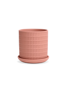 Chive Virago A small clay terracotta porcelain pot with drainage hole and detachable saucer.