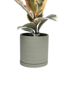 Chive Virago A large olive porcelain pot with drainage and saucer styled with a plant.