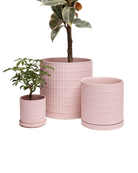 Three Chive Virago A soft pink porcelain pots with drainage and saucers styled with plants in small, medium, and large.