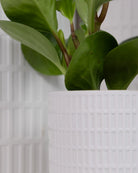 Close-up of two Chive Virago A white porcelain pots showing the color and textured finish.