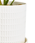 Close-up of the Chive Virago A small white porcelain pot showing the color and textured finish.