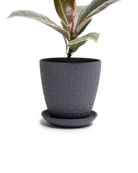 Chive Virago B medium black porcelain pot with drainage and saucer styled with a plant.