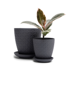 Two Chive Virago B black porcelain pots with drainage and detachable saucers styled with a plant in small and medium.
