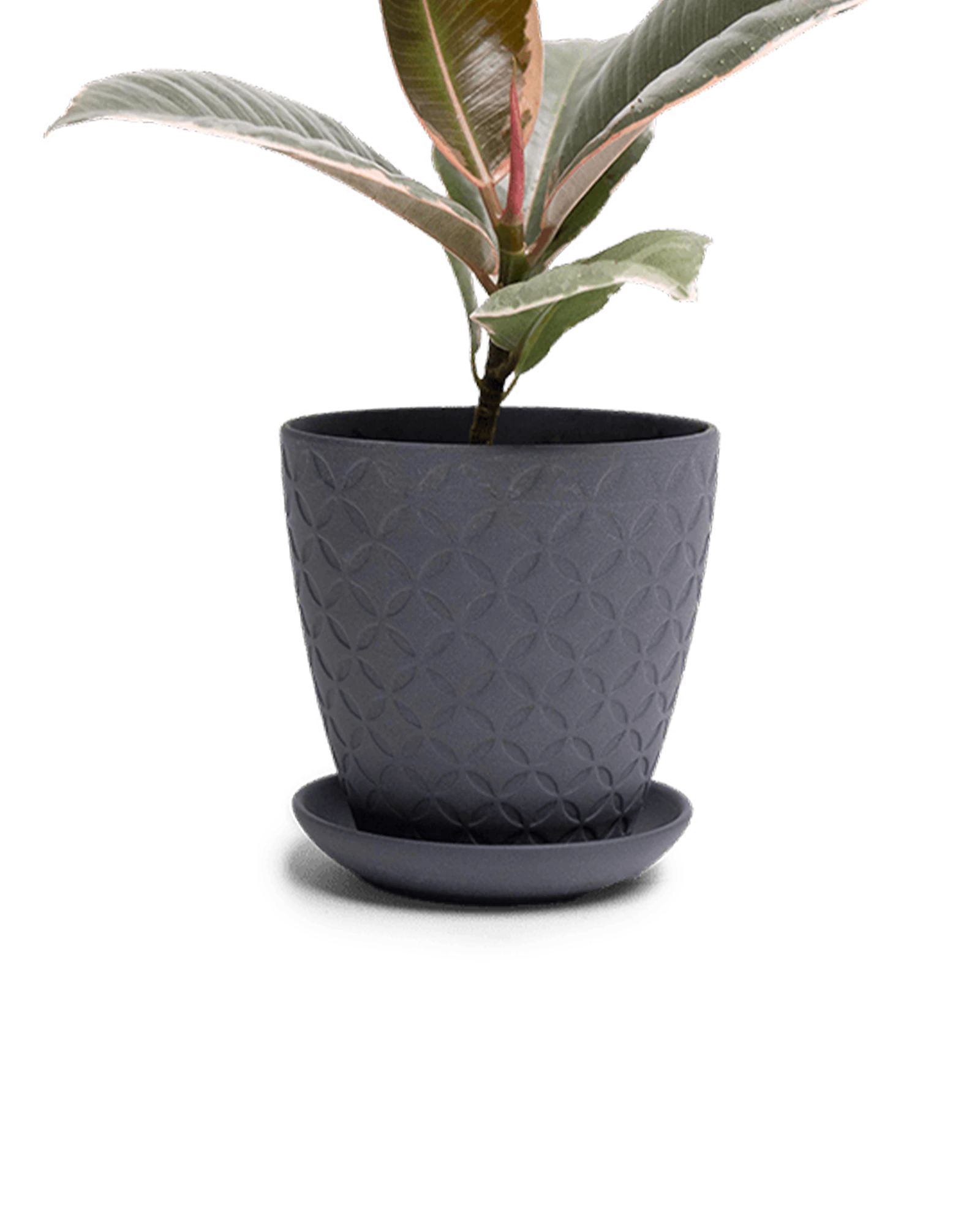 Chive Virago B small black porcelain pot with drainage and saucer styled with a plant.