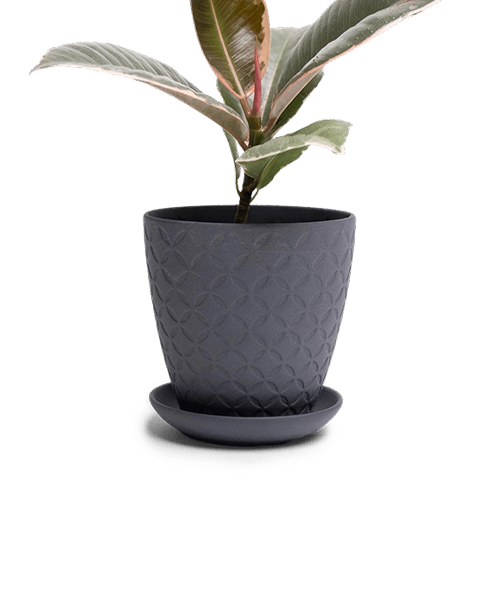 Chive Virago B small black porcelain pot with drainage and saucer styled with a plant.