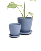 Two Chive Virago B blue grey porcelain pots with drainage and detachable saucers styled with a plant in small and medium.