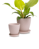 Two Chive Virago B soft pink porcelain pots with drainage and saucers styled with a plant in small and medium.