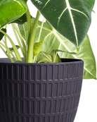 Virago Porcelain Large Indoor Pot With Drainage Hole And Saucer - Chive Ceramics Studio - Pots - Chive US