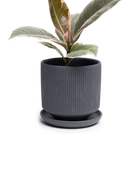 Chive Virago C small black porcelain pot with drainage and saucer styled with a plant.