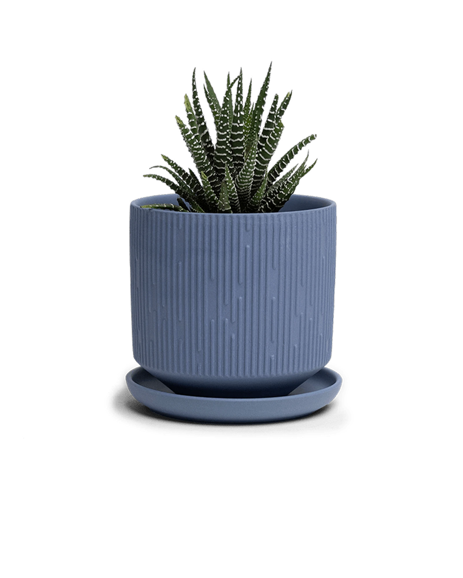 Chive Virago C medium blue grey porcelain pot with drainage and saucer styled with a plant.