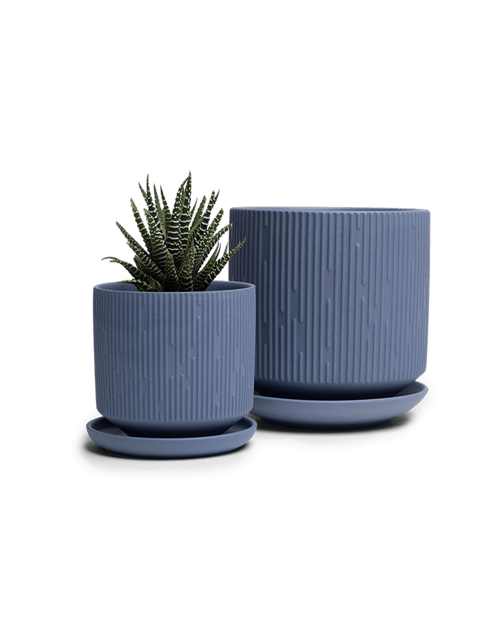Two Chive Virago C blue grey porcelain pots with drainage and saucers styled with a plant in medium and small.