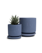 Two Chive Virago C blue grey porcelain pots with drainage and saucers styled with a plant in medium and small.