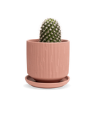 Chive Virago C medium clay terracotta porcelain pot with drainage and saucer styled with a plant.