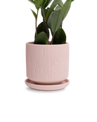 Chive Virago C small soft pink porcelain pot with drainage and saucer styled with a plant.