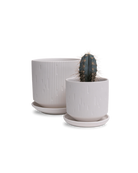 Two Chive Virago C white porcelain pots with drainage and saucers styled with a cactus plant in size small and medium.