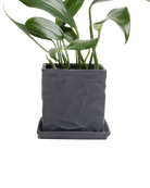 Chive Virago D small black porcelain pot with drainage and saucer styled with a plant.