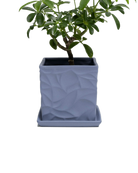 Chive Virago D medium blue grey porcelain pot with drainage and saucer styled with a plant.