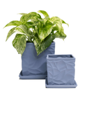 Two Chive Virago D blue grey porcelain pots with drainage and detachable saucers styled with a plant in small and medium.
