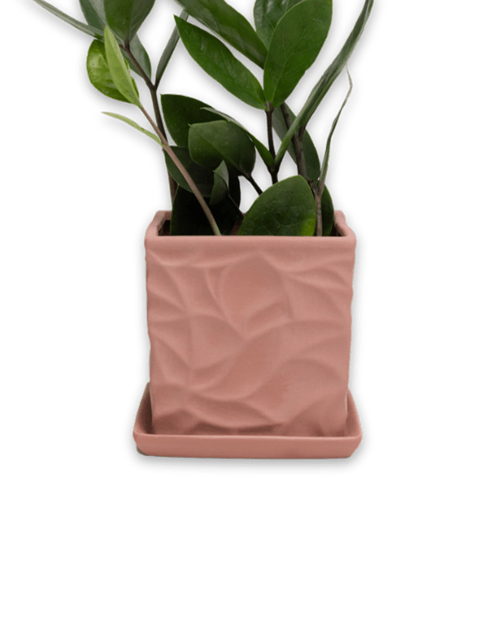 Chive Virago D medium clay terracotta porcelain pot with drainage and saucer styled with a plant.