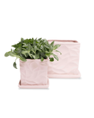 Two Chive Virago D soft pink porcelain pots with drainage and saucers styled with plants in medium and small.