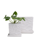 Two Chive Virago D white porcelain pots with drainage and saucers styled with a plant in size small and medium.