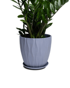 Chive Virago E large blue grey porcelain pot with drainage and saucer styled with a zz plant.