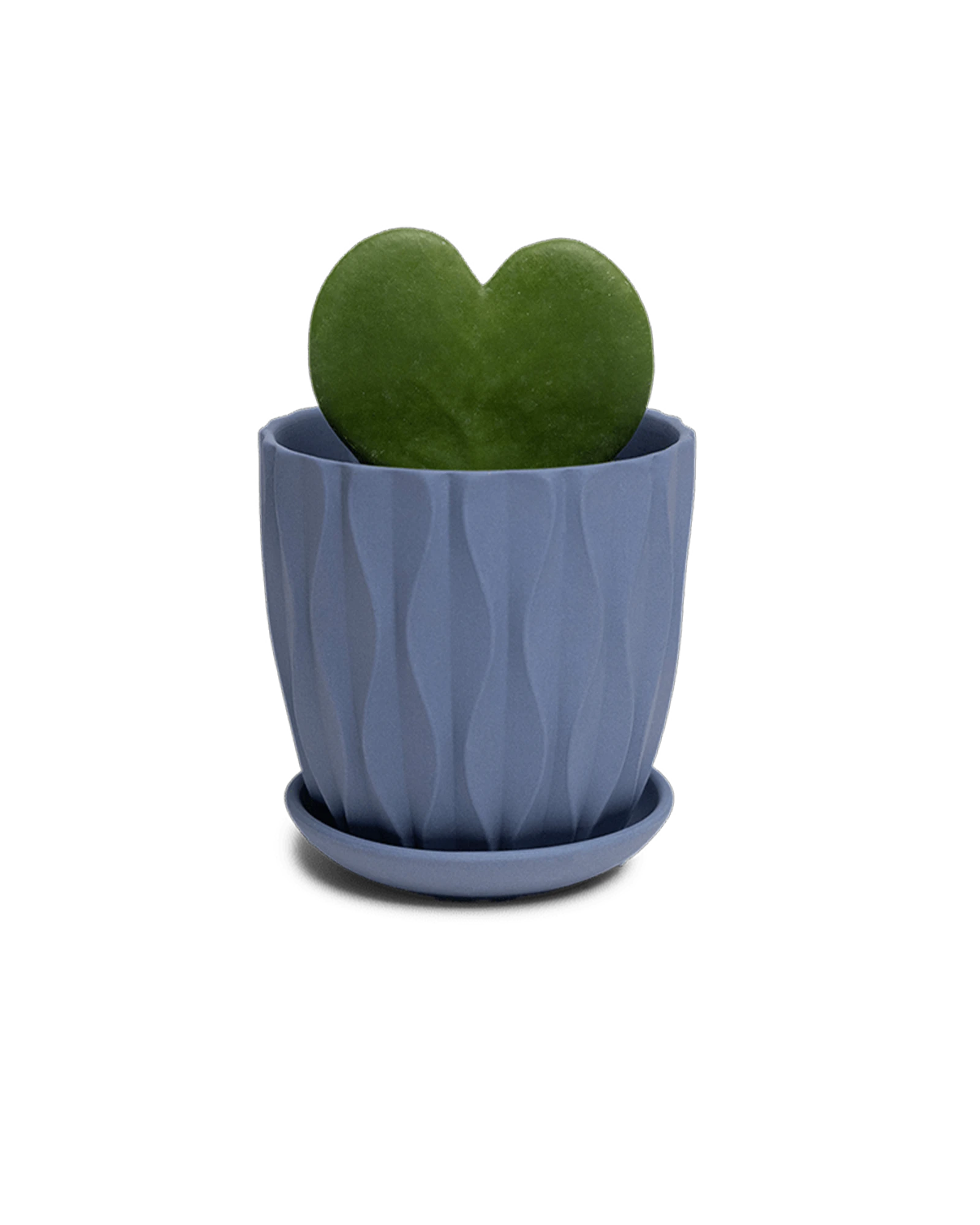 Chive Virago E medium blue grey porcelain pot with drainage and saucer styled with a plant.