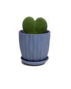 Chive Virago E small blue grey porcelain pot with drainage and saucer styled with a plant.