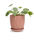 Chive Virago E medium clay terracotta porcelain pot with drainage and saucer styled with a plant.