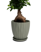 Chive Virago E large olive porcelain pot with drainage and saucer styled with a plant.