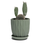 Chive Virago E medium olive porcelain pot with drainage and saucer styled with a plant.