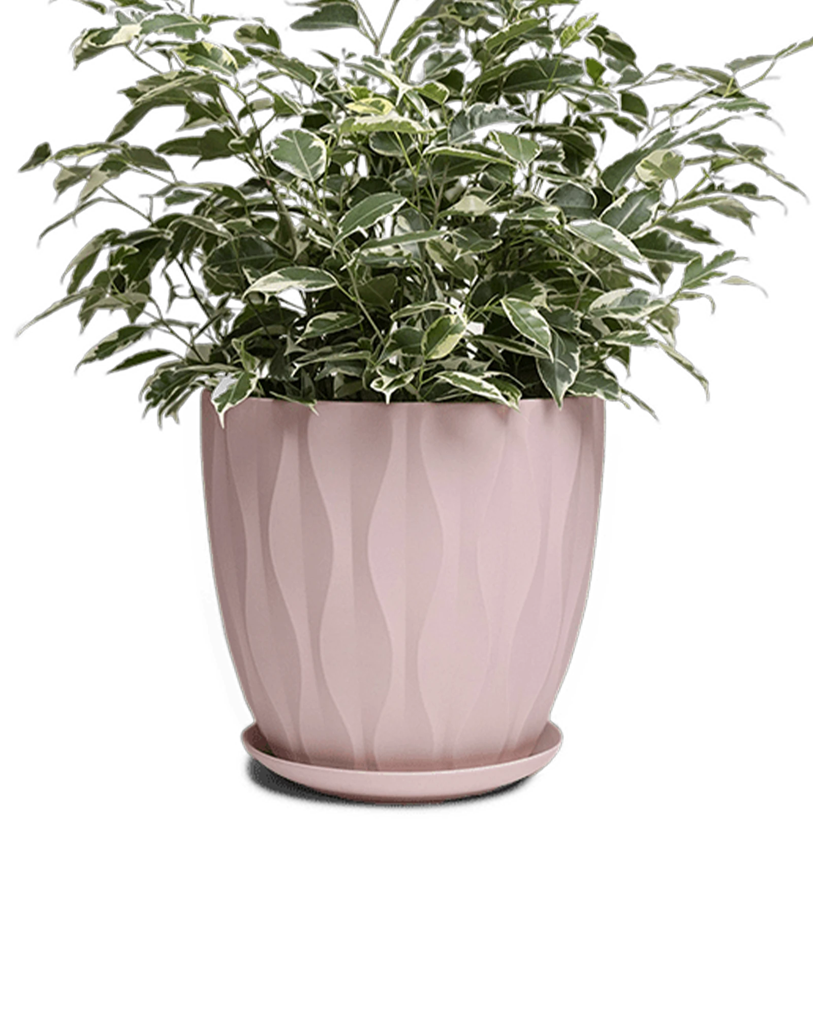 Chive Virago E large soft pink porcelain pot with drainage and saucer styled with a plant.