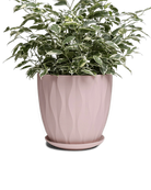 Chive Virago E large soft pink porcelain pot with drainage and saucer styled with a plant.