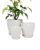 Three virago E white porcelain pots in size large, medium, and small, styled with a green plant.