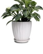Chive Virago E large white porcelain pot with waves texture styled with a plant.