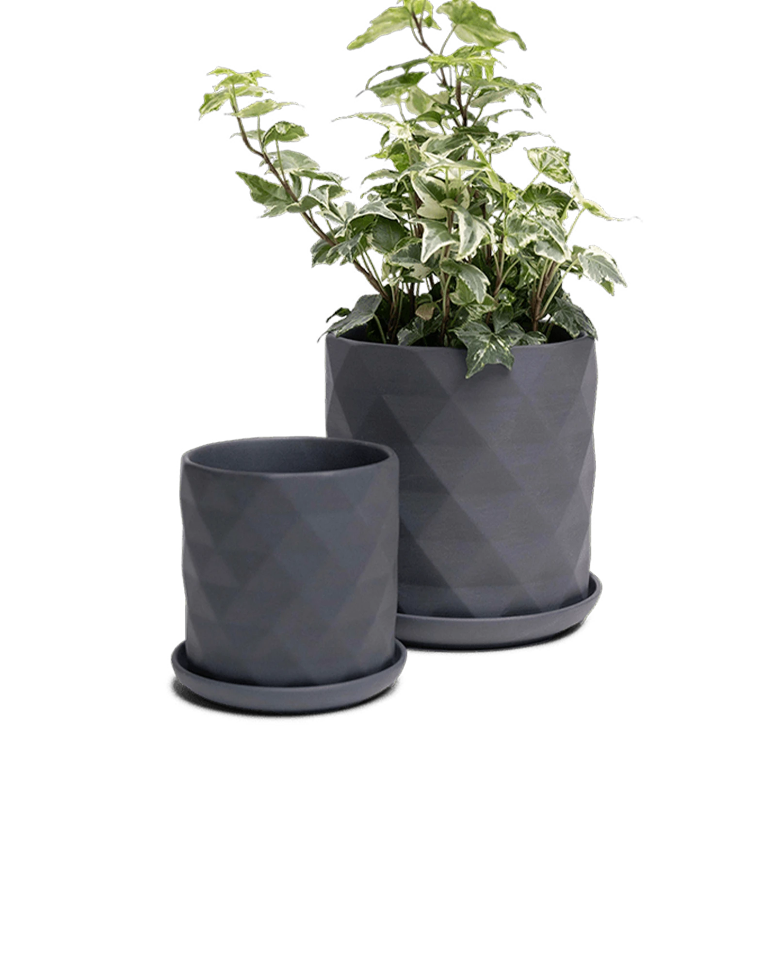 Two Chive Virago F black porcelain pots with drainage and saucers styled with a plant in small and medium.