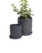 Two Chive Virago F black porcelain pots with drainage and saucers styled with a plant in small and medium.