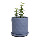 Chive Virago F medium blue grey porcelain pot with drainage and saucer styled with a plant.