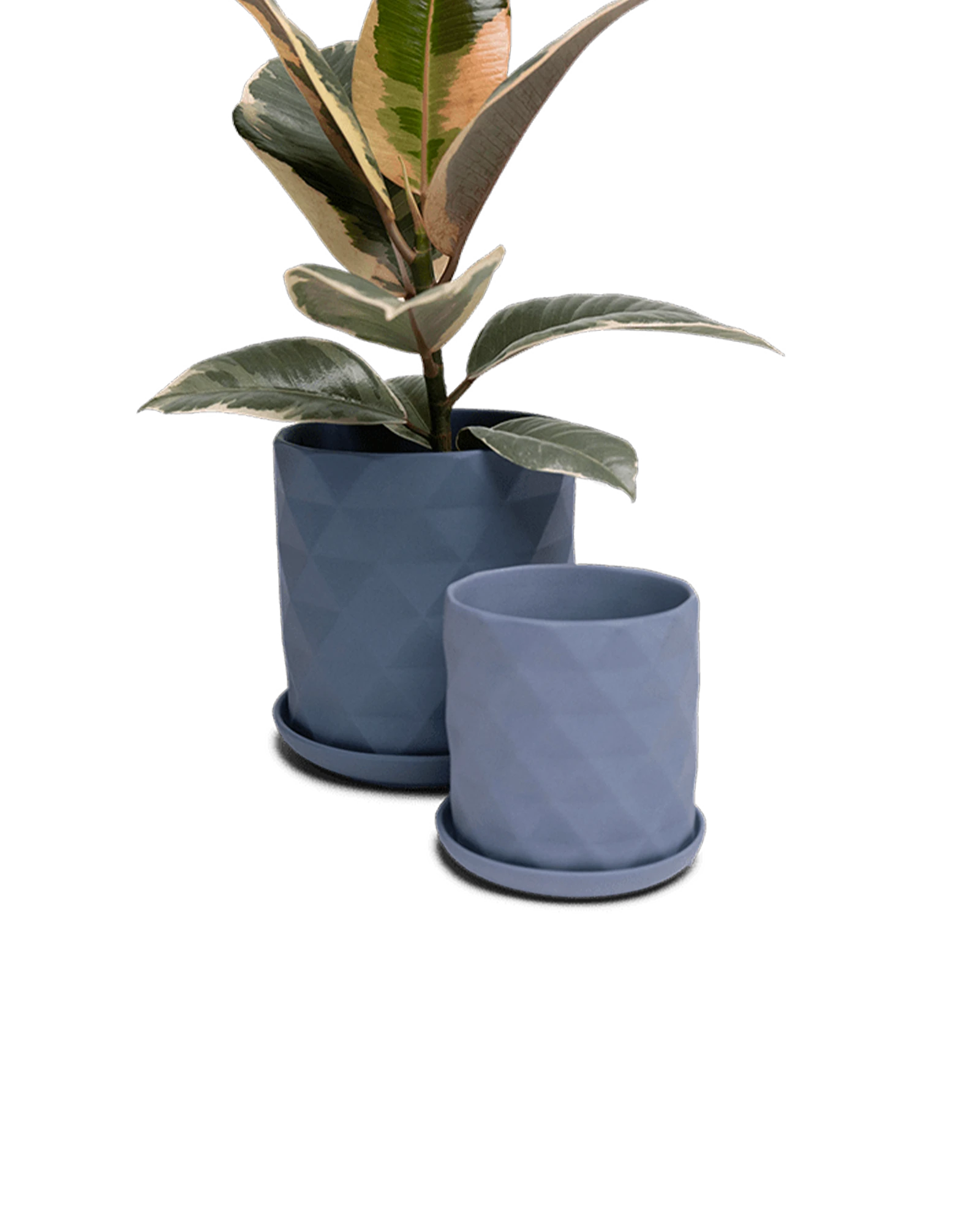 Two Chive Virago F blue grey porcelain pots with drainage and saucers styled with a plant in medium and small.
