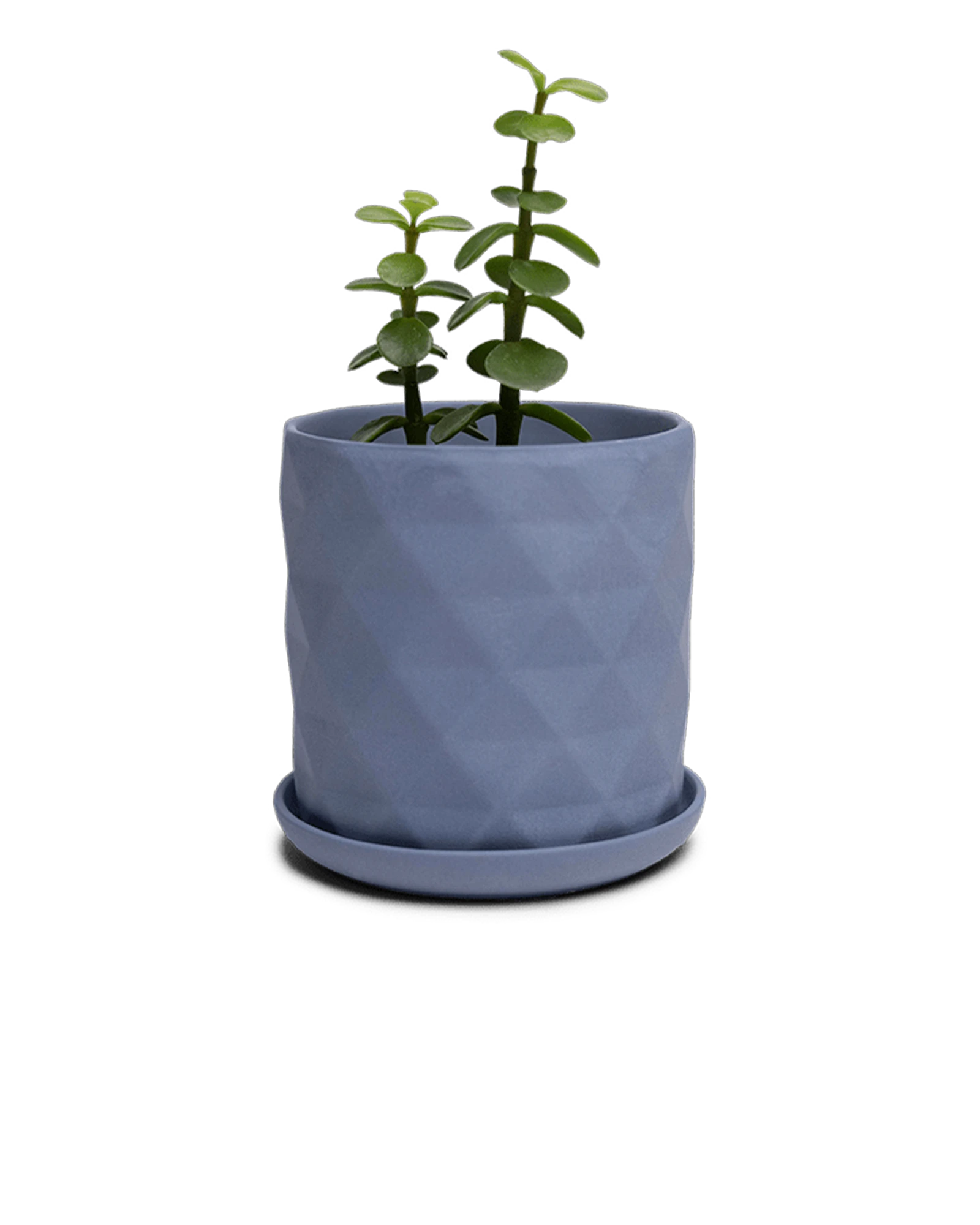 Chive Virago F small blue grey porcelain pot with drainage and saucer styled with a plant.