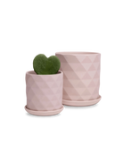Two Chive Virago F soft pink porcelain pots with drainage and saucers styled with plants in medium and small.