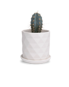 Chive Virago F medium white porcelain pot with drainage and saucer styled with a plant.