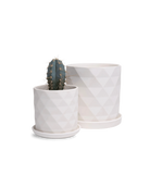 Two Chive Virago F white porcelain pots with drainage and saucers styled with a plant in medium and small.