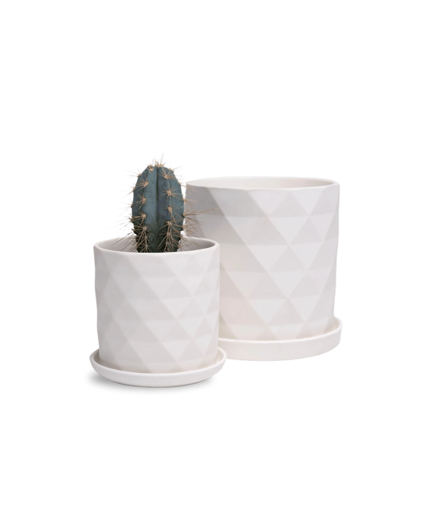 Two Chive Virago F white porcelain pots with drainage and saucers styled with a plant in size small and medium.