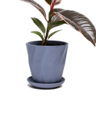 Chive Virago G small blue grey porcelain pot with drainage and saucer styled with a plant.