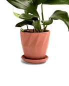 Chive Virago G small clay terracotta porcelain pot with drainage and saucer styled with a plant.