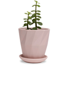 Chive Virago G medium soft pink porcelain pot with drainage and saucer styled with a plant.