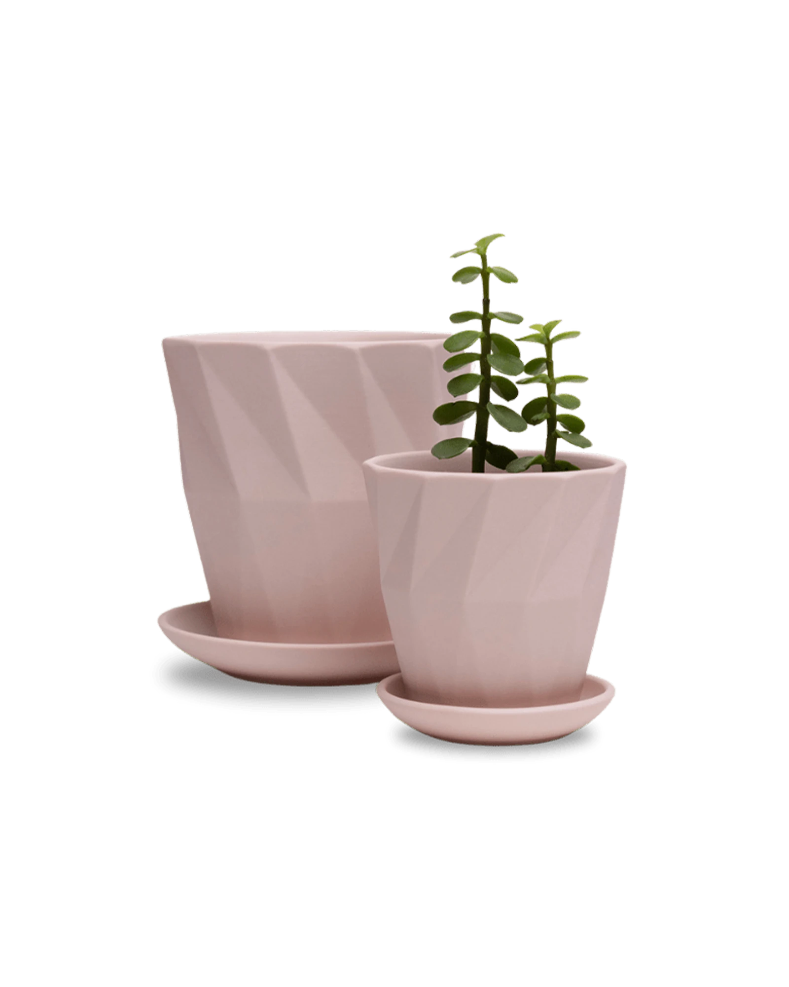 Two Chive Virago G soft pink porcelain pots with drainage and saucers styled with plants in medium and small.